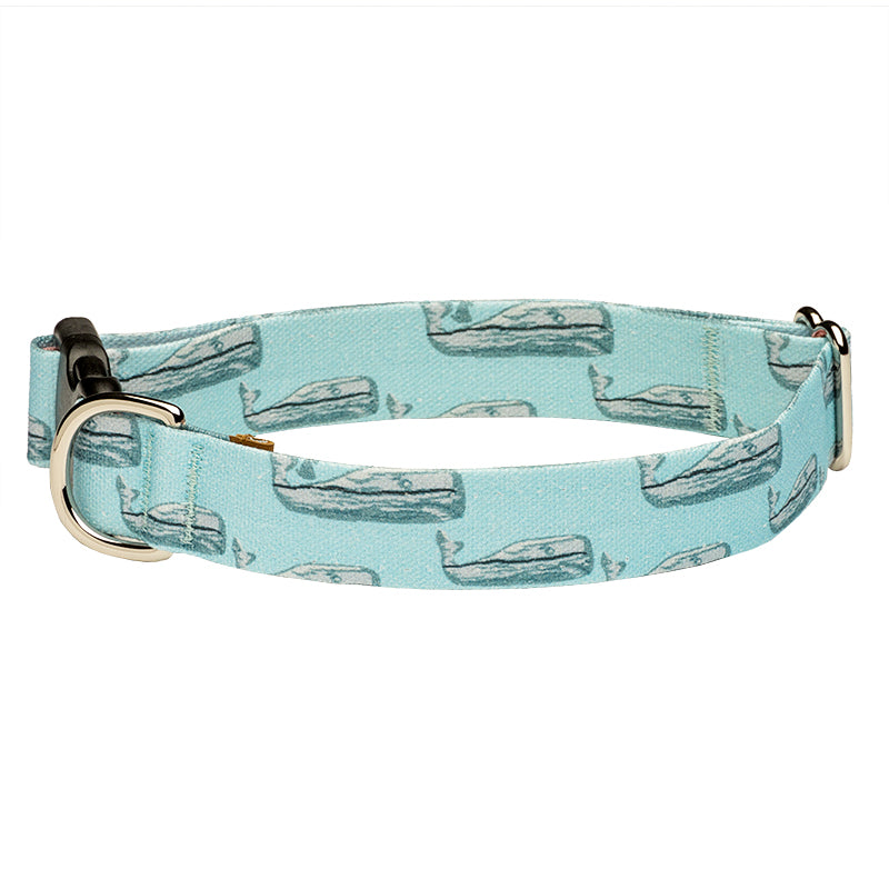Nantucket Whale #23 Dog Collar - Teal