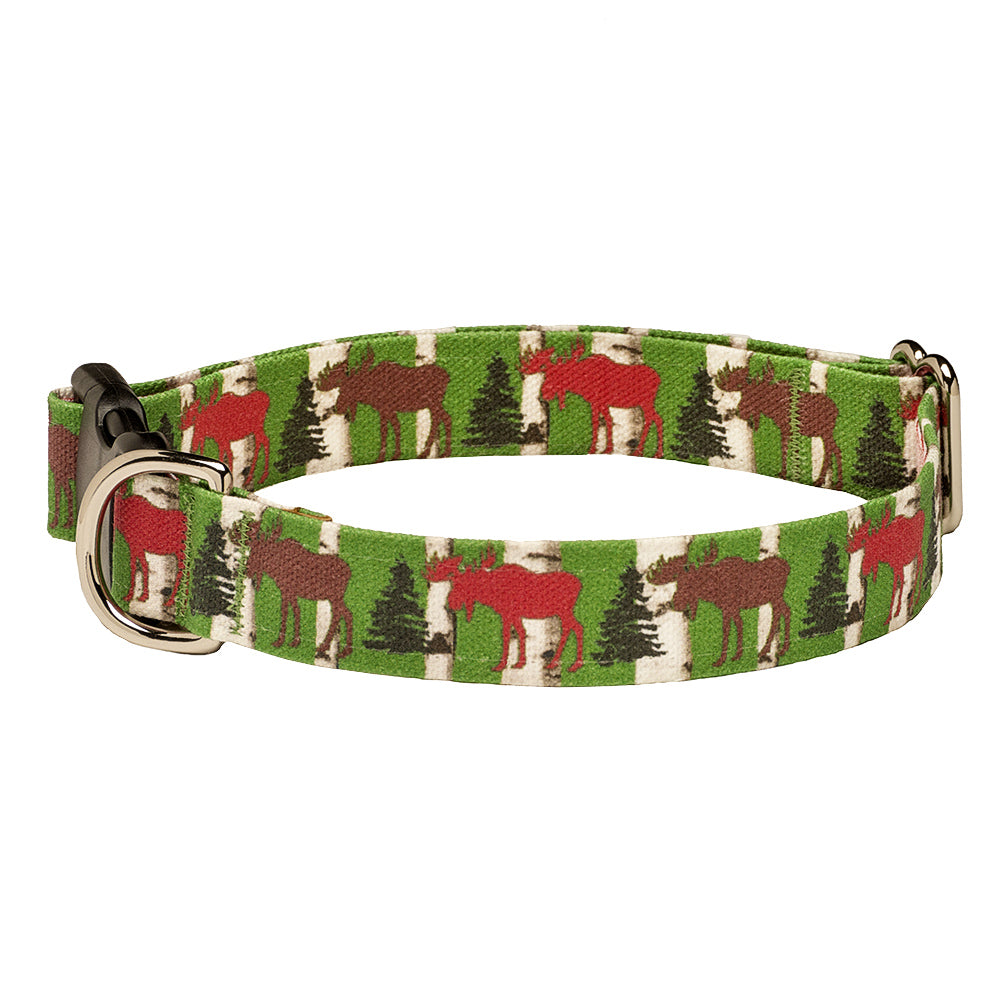 Moose dog outlet collar