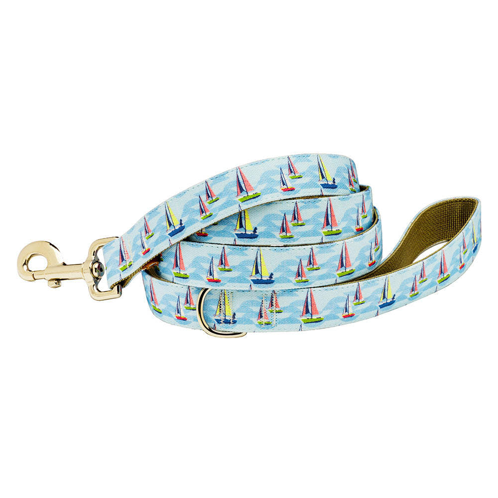 Our Good Dog Spot On the Wind Dog Lead