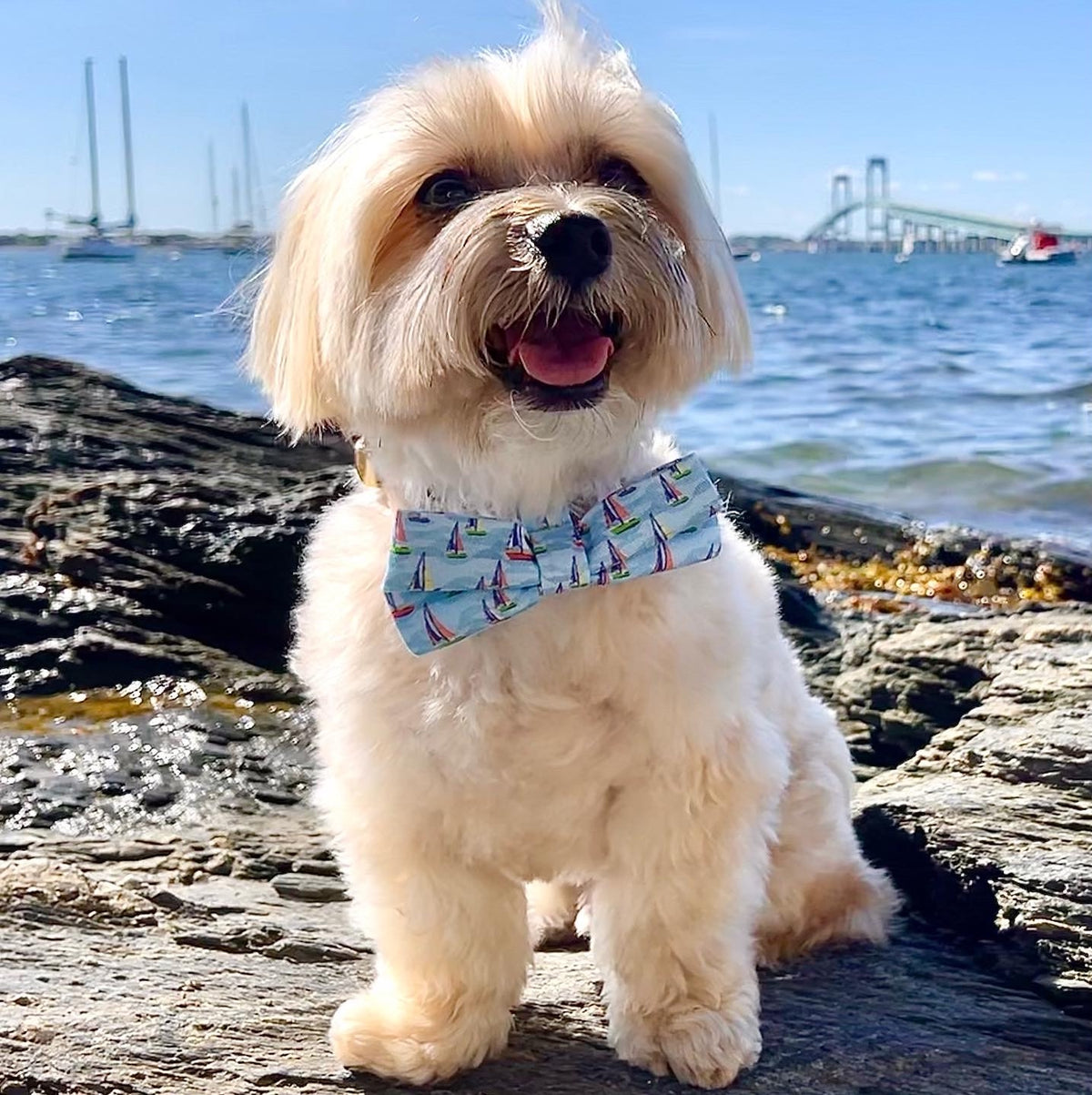On The Wind Sailboat Bow Tie - Chesapeake Blue