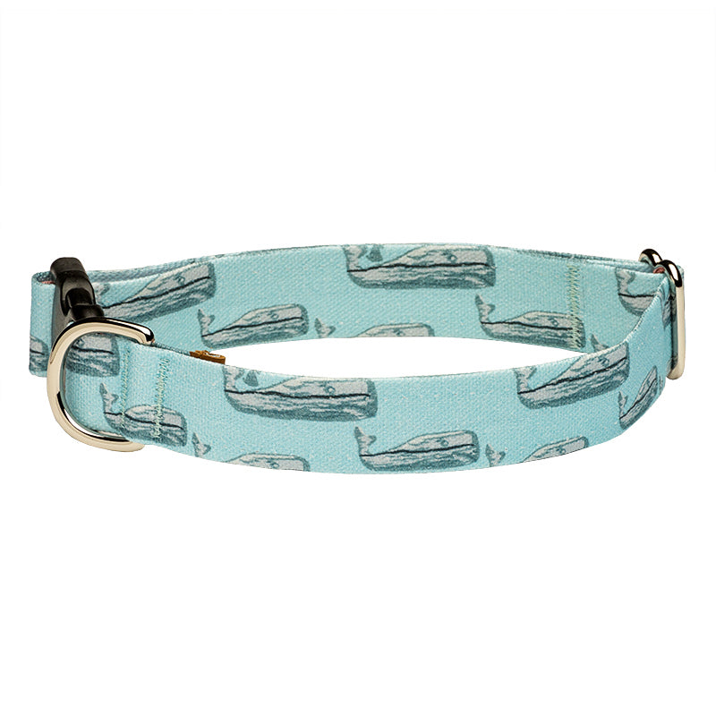 Whale dog collar top