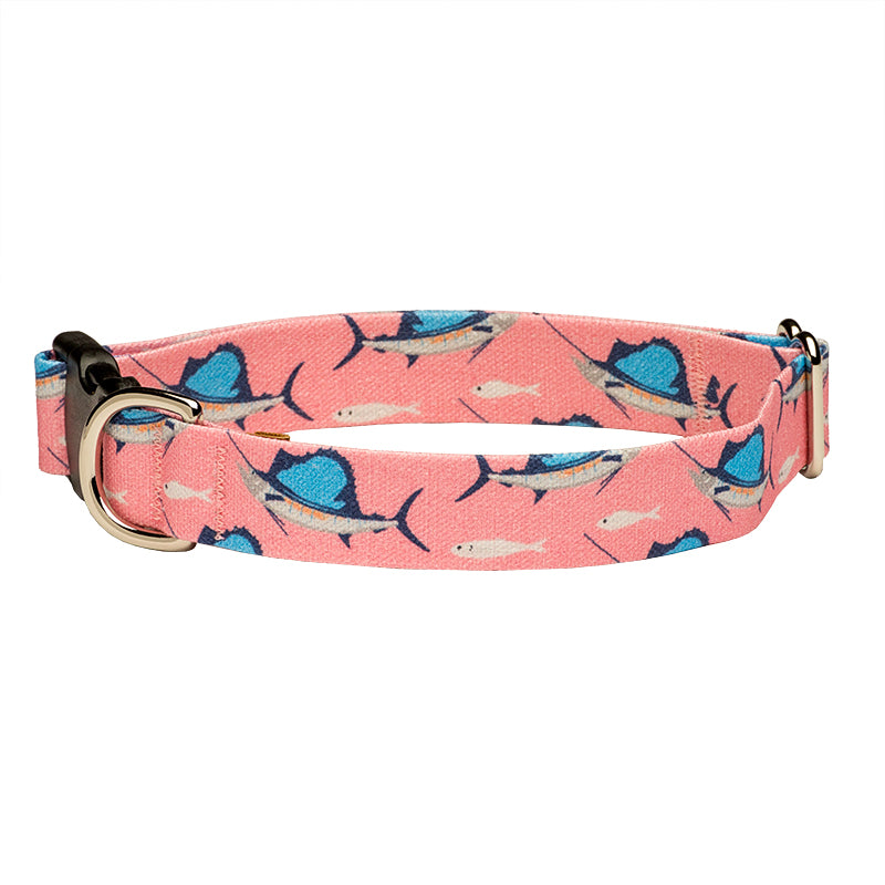 Sailfish Frenzy Dog Collar