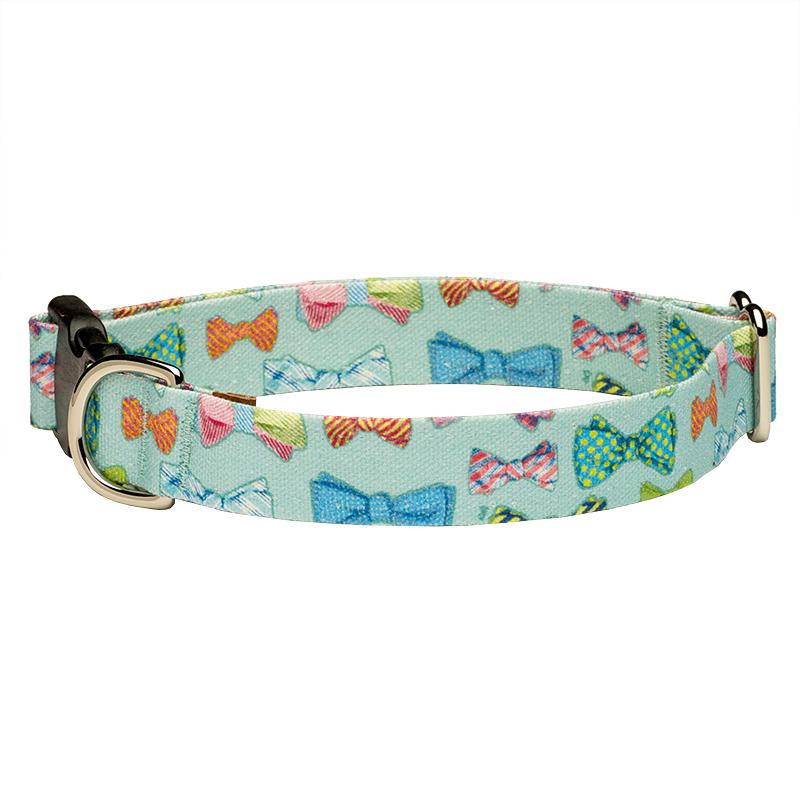 Our Good Dog Spot After Five Bows and Bow Ties Dog Collar