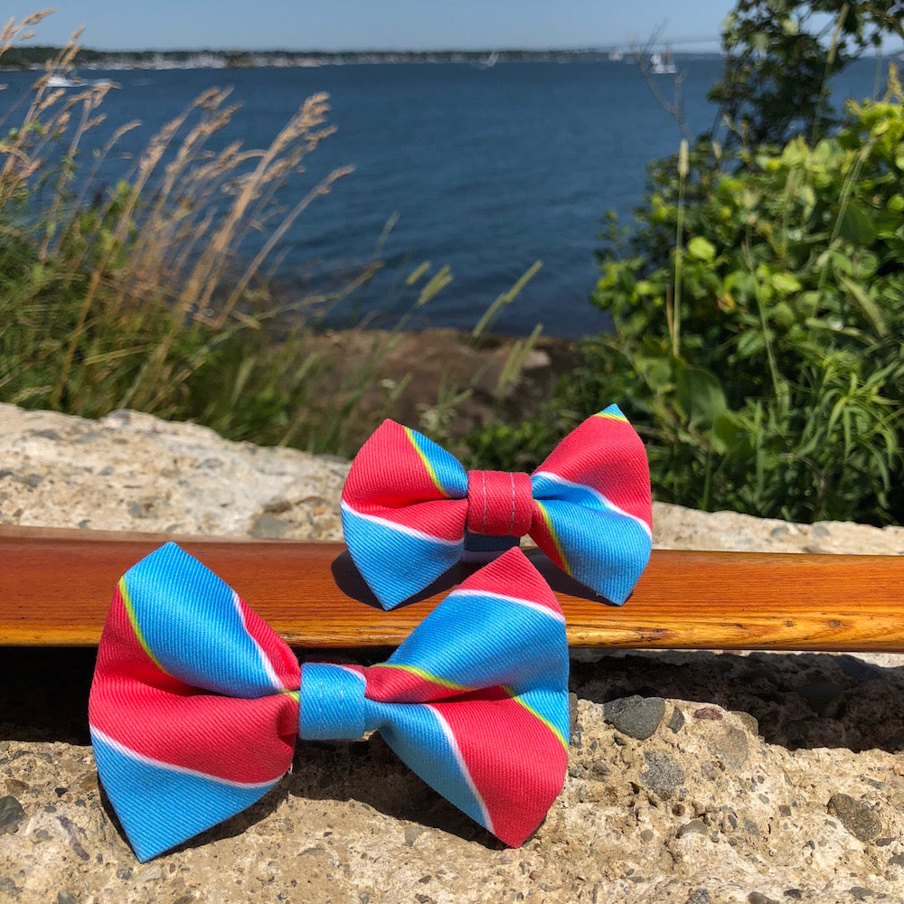 Our Good Dog Spot Ivy League Repp Stripe Bow Tie Red and Blue