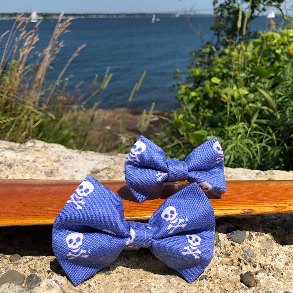 Our Good Dog Spot Charles River Bow Tie Skull Blue
