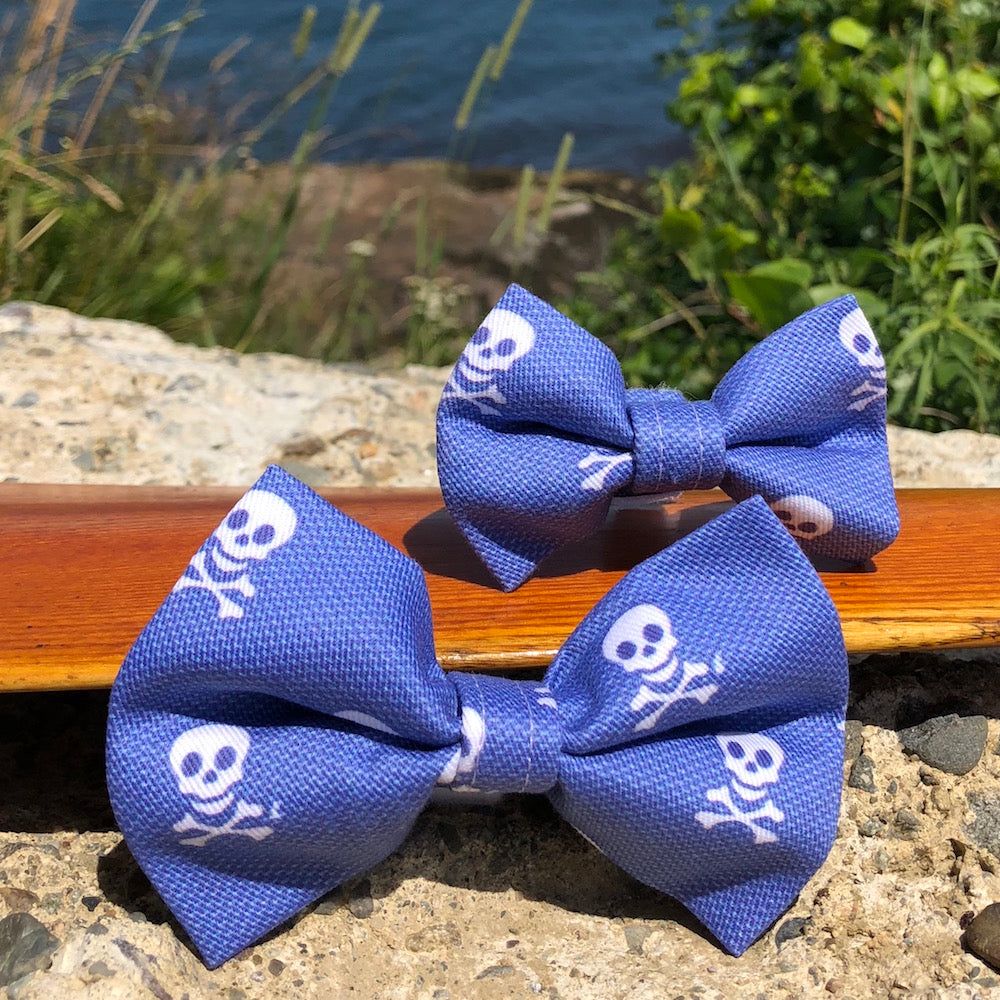 Our Good Dog Spot Charles River Bow Tie Skull Blue