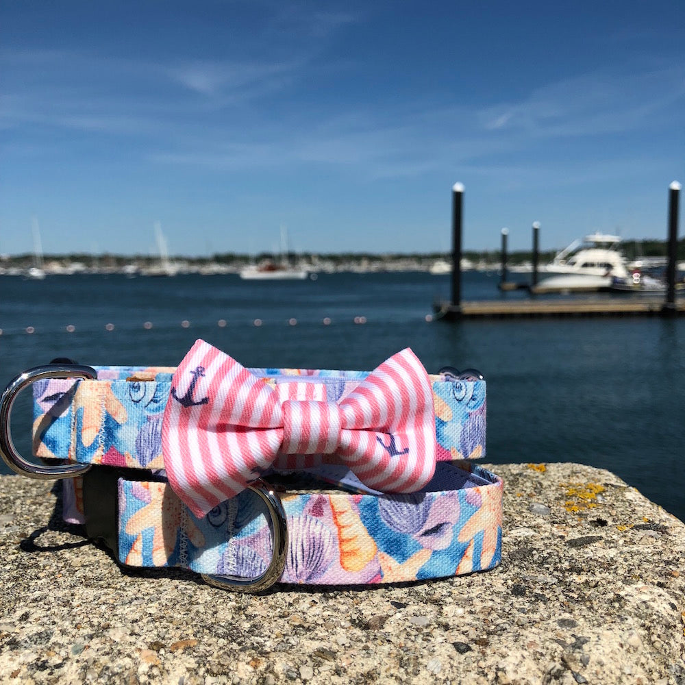 Our Good Dog Spot Sun Kissed Coral Oxford Anchor Bowtie with Seashells and Starfish dog collar