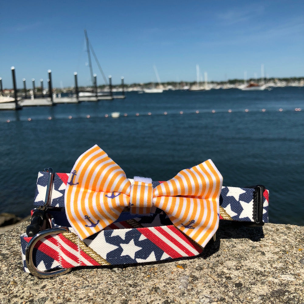 Our Good Dog Spot Sunset Gold Oxford Stripe Anchor Bowtie and Stars and Stripes Forever dog collar