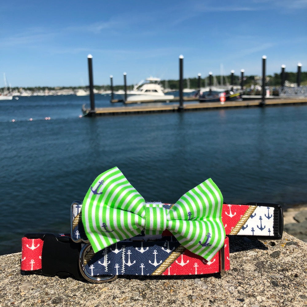 Our Good Dog Spot Nautical Pride Dog Collar and Preppy Green Oxford Stripe Anchor Bow Tie