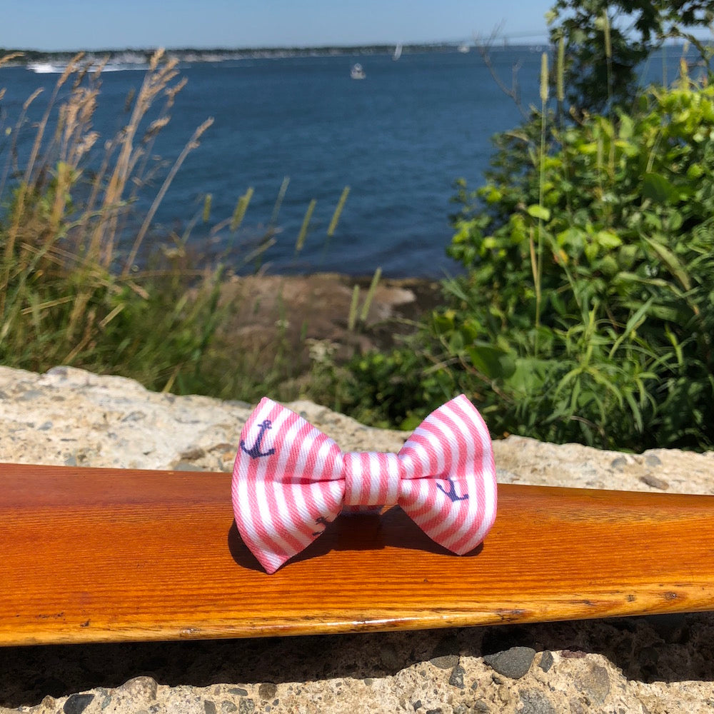 Our Good Dog Spot Sun Kissed Coral Oxford Anchor Bowtie