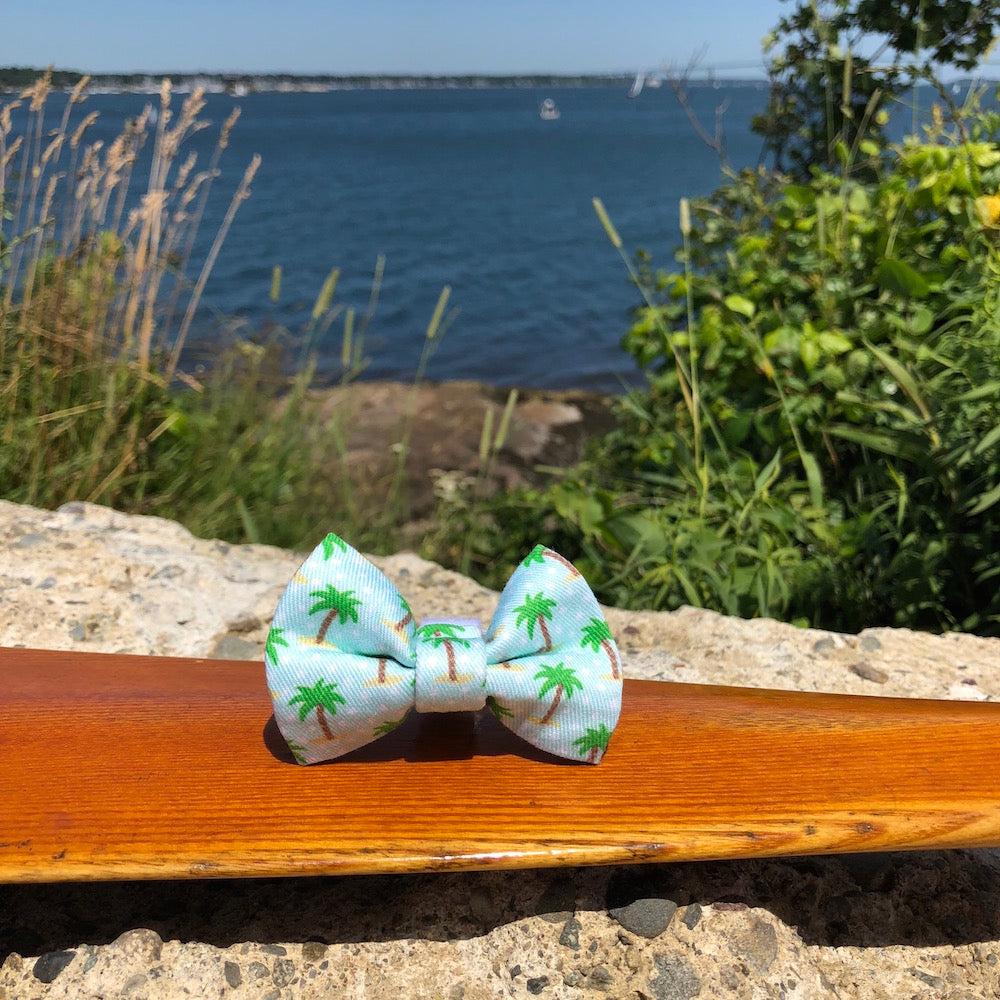 Our Good Dog Spot Palm Tree Poka Dot Bow Tie Coconut Blue