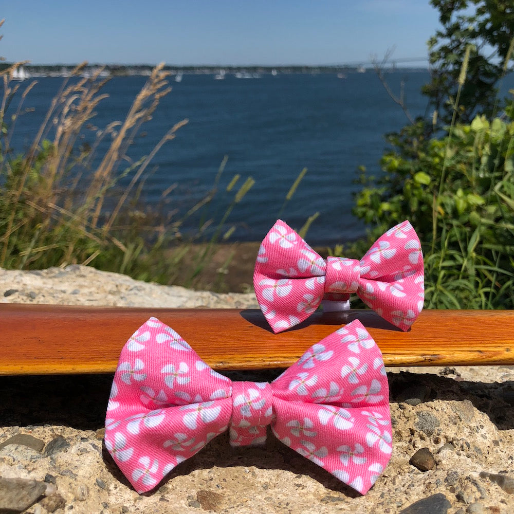 Our Good Dog Spot Pink Propeller Bowtie
