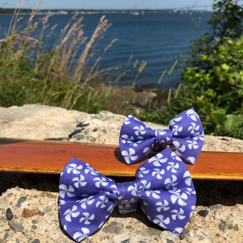 Our Good Dog Spot Purple Opulence Propeller Bow Tie