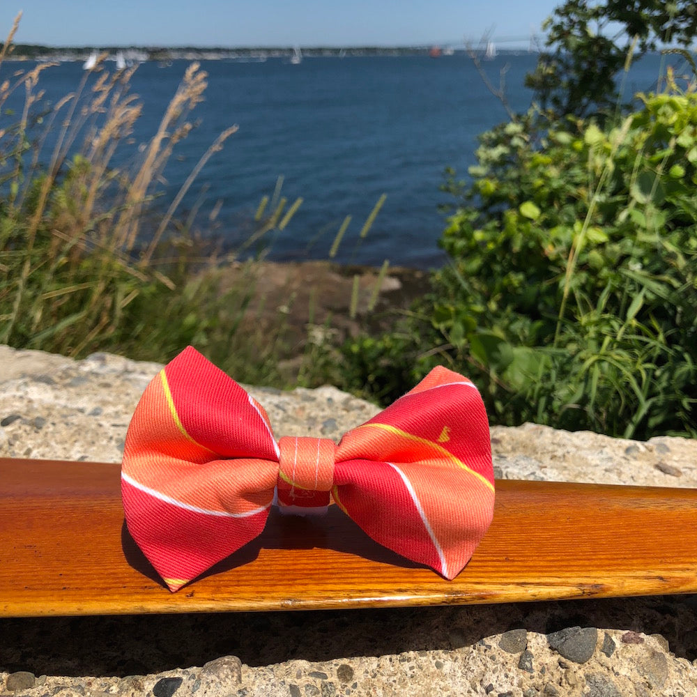 Our Good Dog Spot Red and Melon Ivy League Repp Stripe After 5 Bowtie