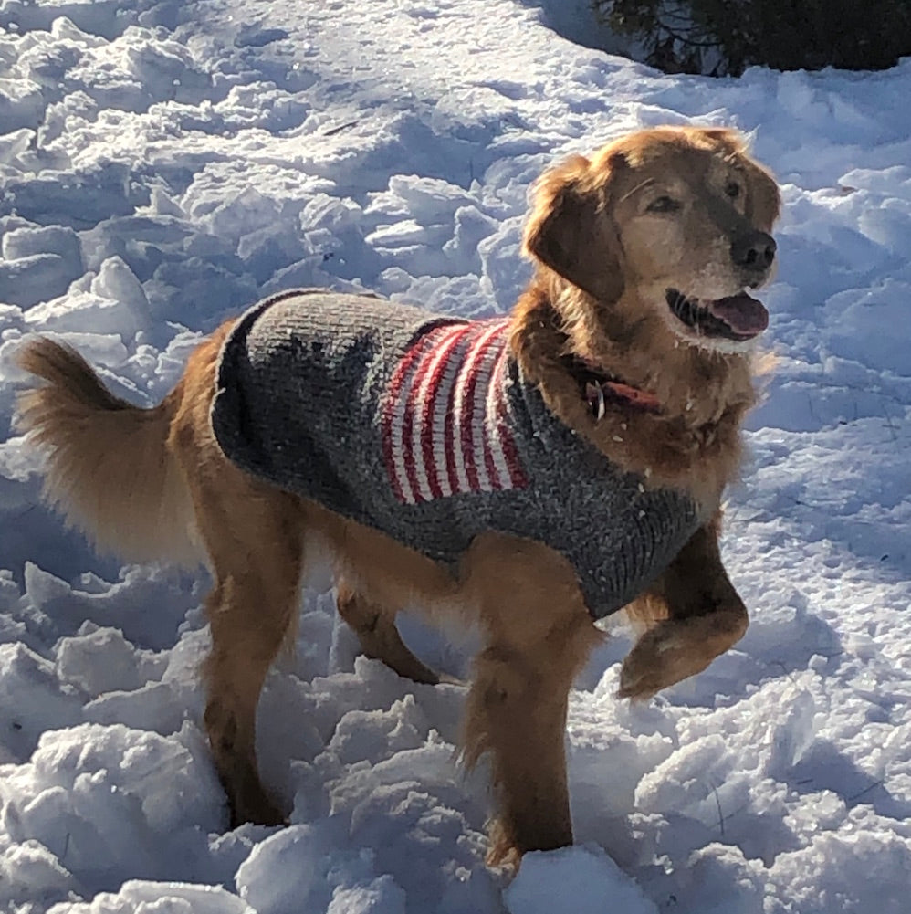 Dog wool American flag sweater
