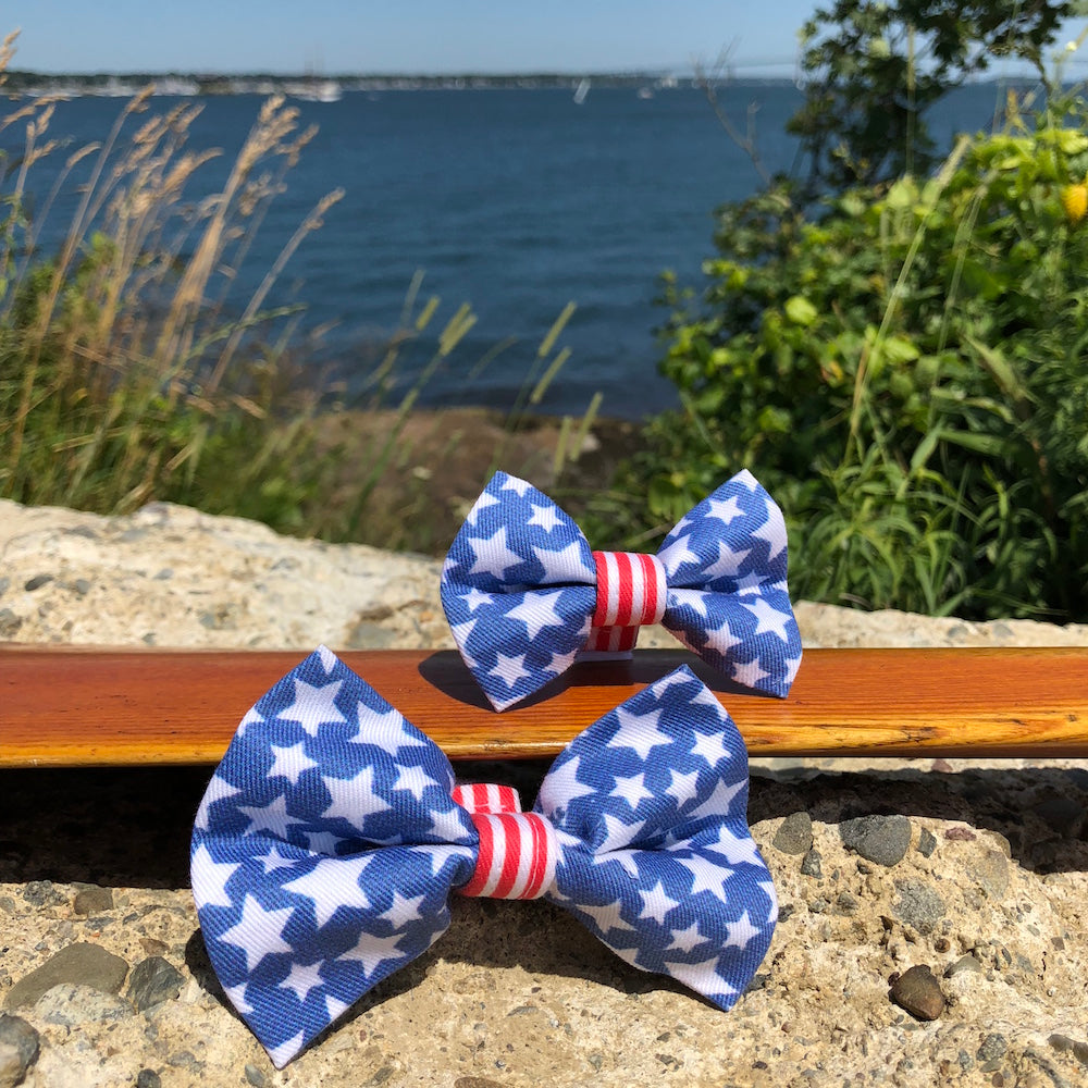 4th of july shop dog bow tie