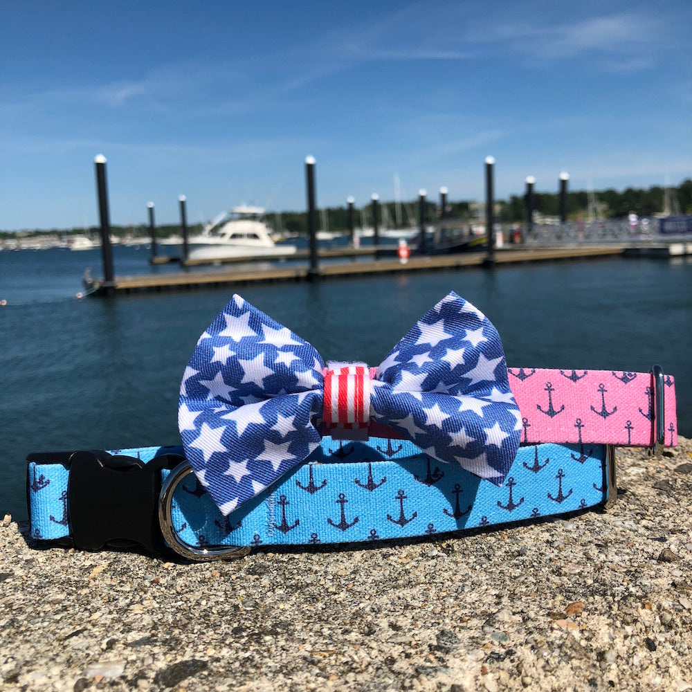 Our Good Dog Spot Pink and Blue Anchors Aweigh Dog Collars and Stars and Stripes Forever Bow Tie