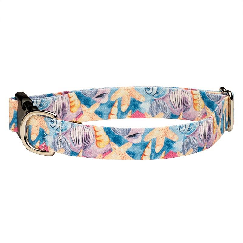 Our Good Dog Spot Seashells and Starfish on the Beach dog collar