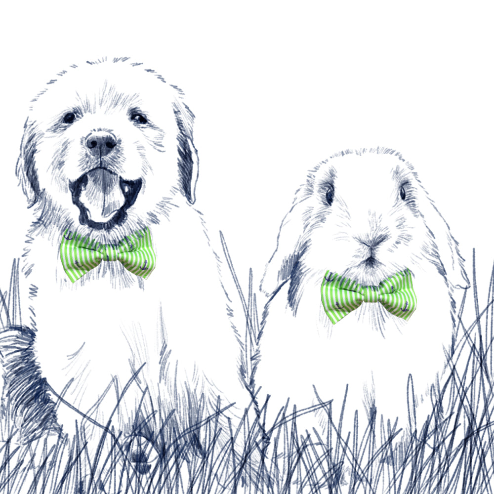 Easter Oxford Stripe Bow Tie - Jelly Bean Green