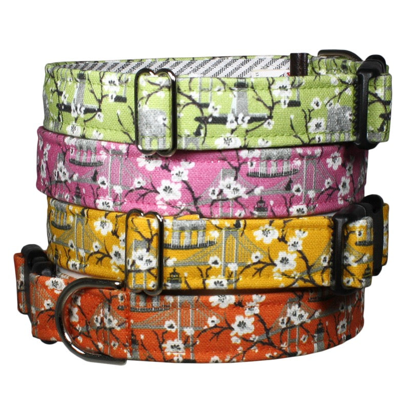 Our Good Dog Spot Floral Dog Collars