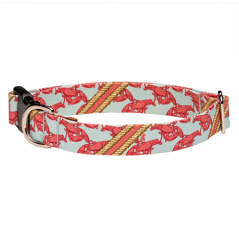 Our Good Dog Spot Boothbay Lobster Dog Collar