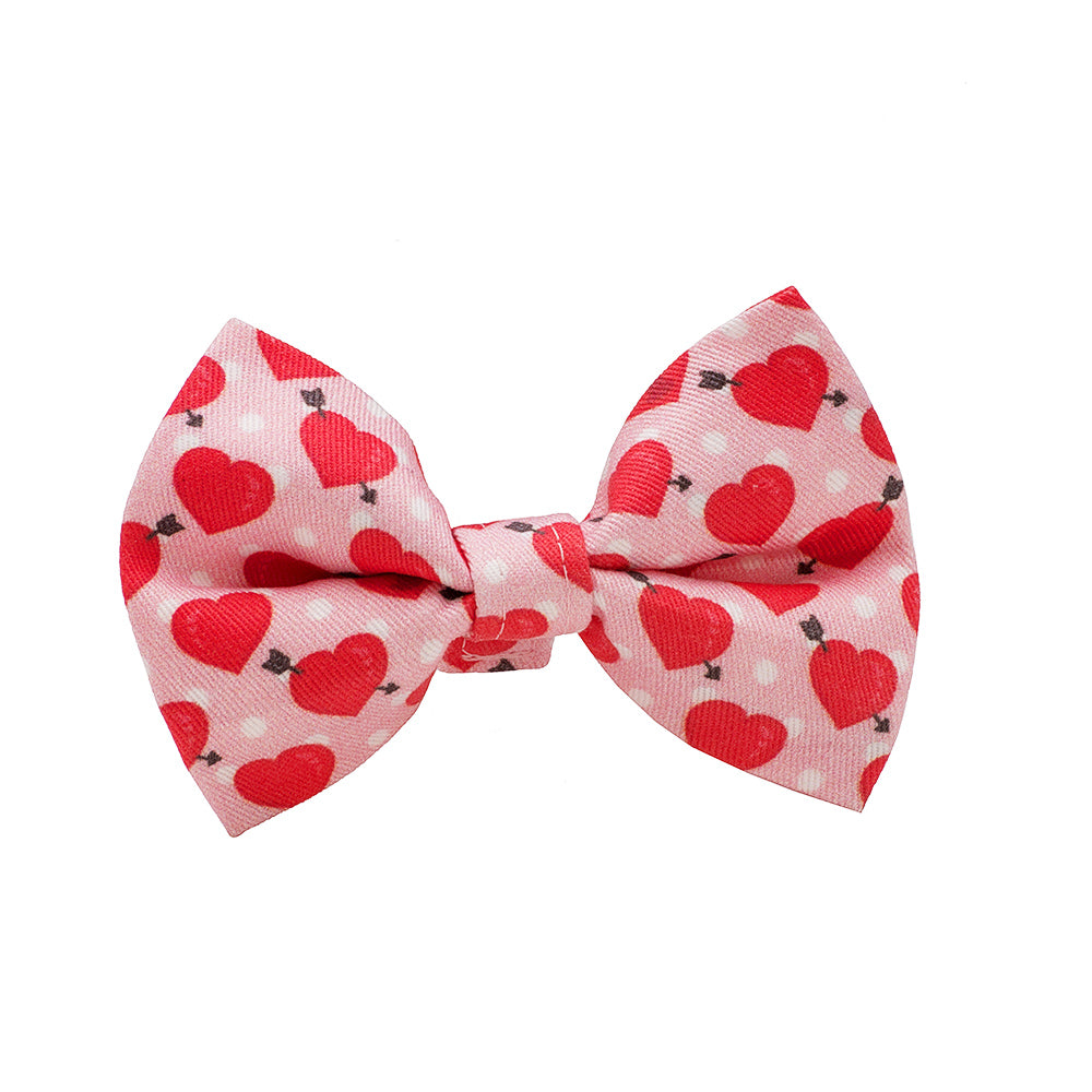 Our Good Dog Spot Be Mine Red Valentine Bow Tie