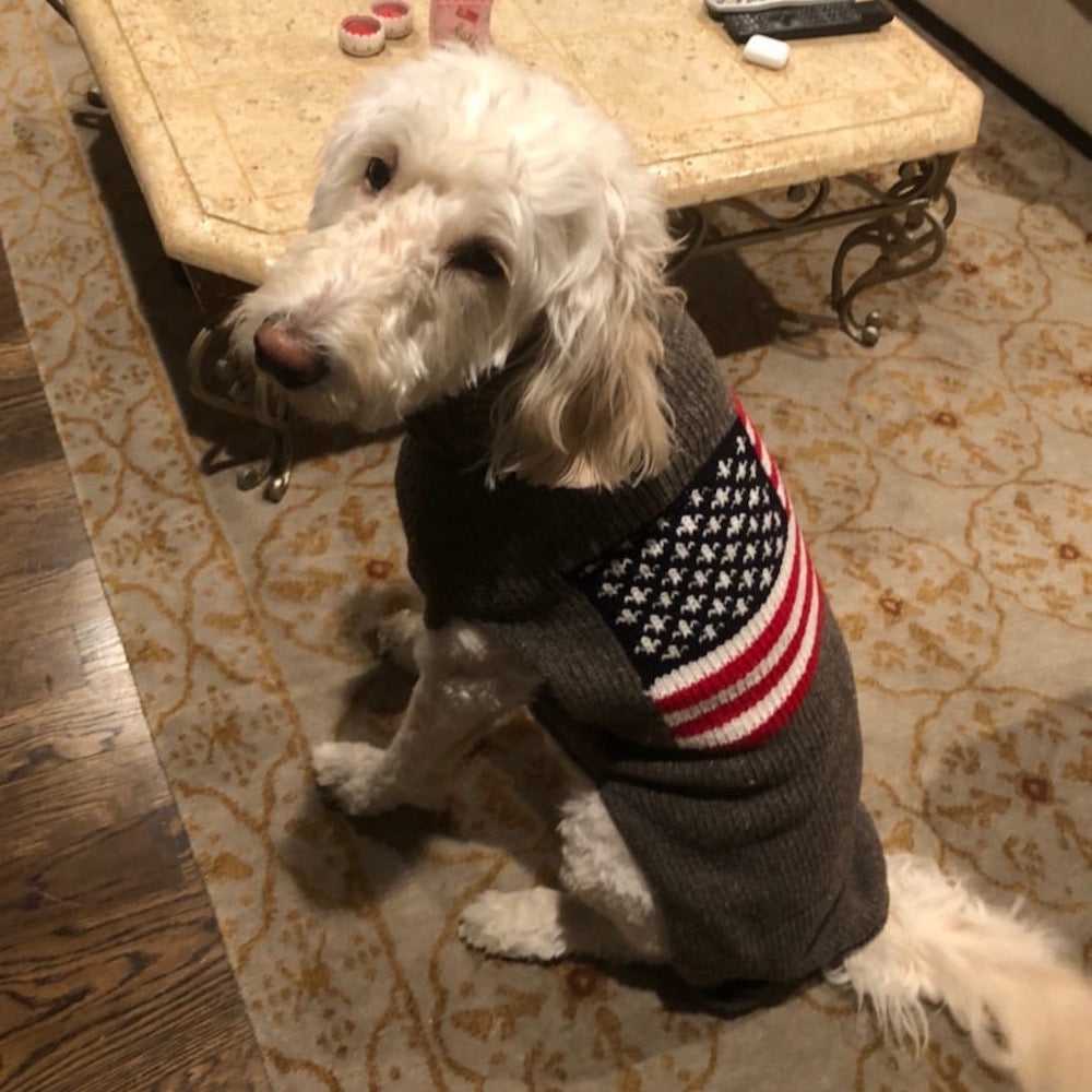 The All-American Dog Sweater