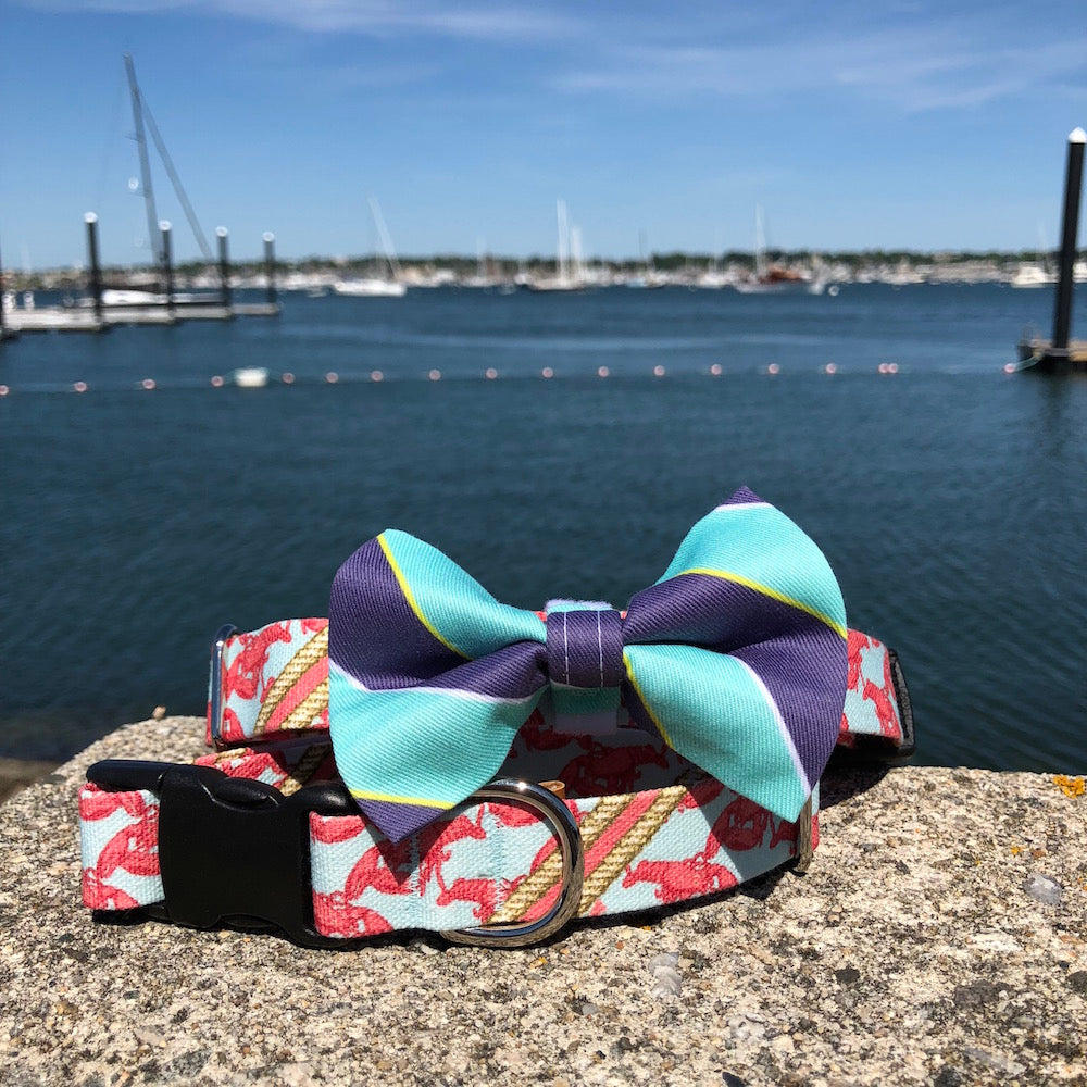 Our Good Dog Spot Blue and Teal Ivy League Repp Bowtie and Boothbay Lobster dog collar