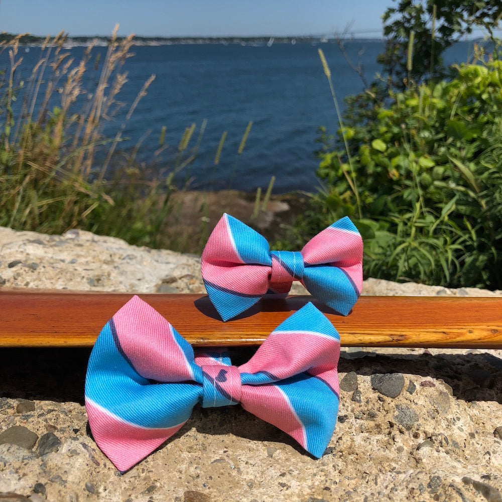 Our Good Dog Spot Ivy League Repp Stripe Bow Tie Pink and Blue