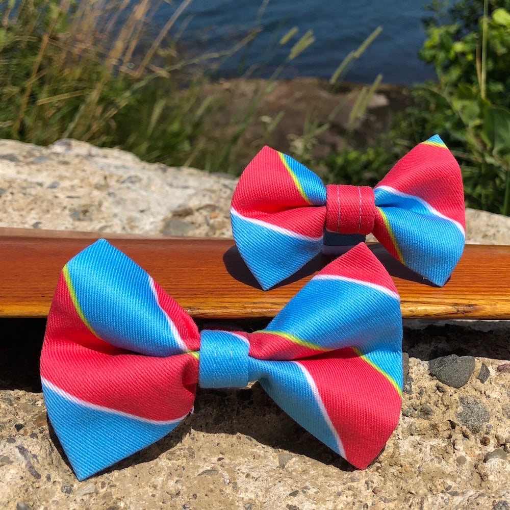 Our Good Dog Spot Ivy League Repp Stripe Bow Tie Red and Blue