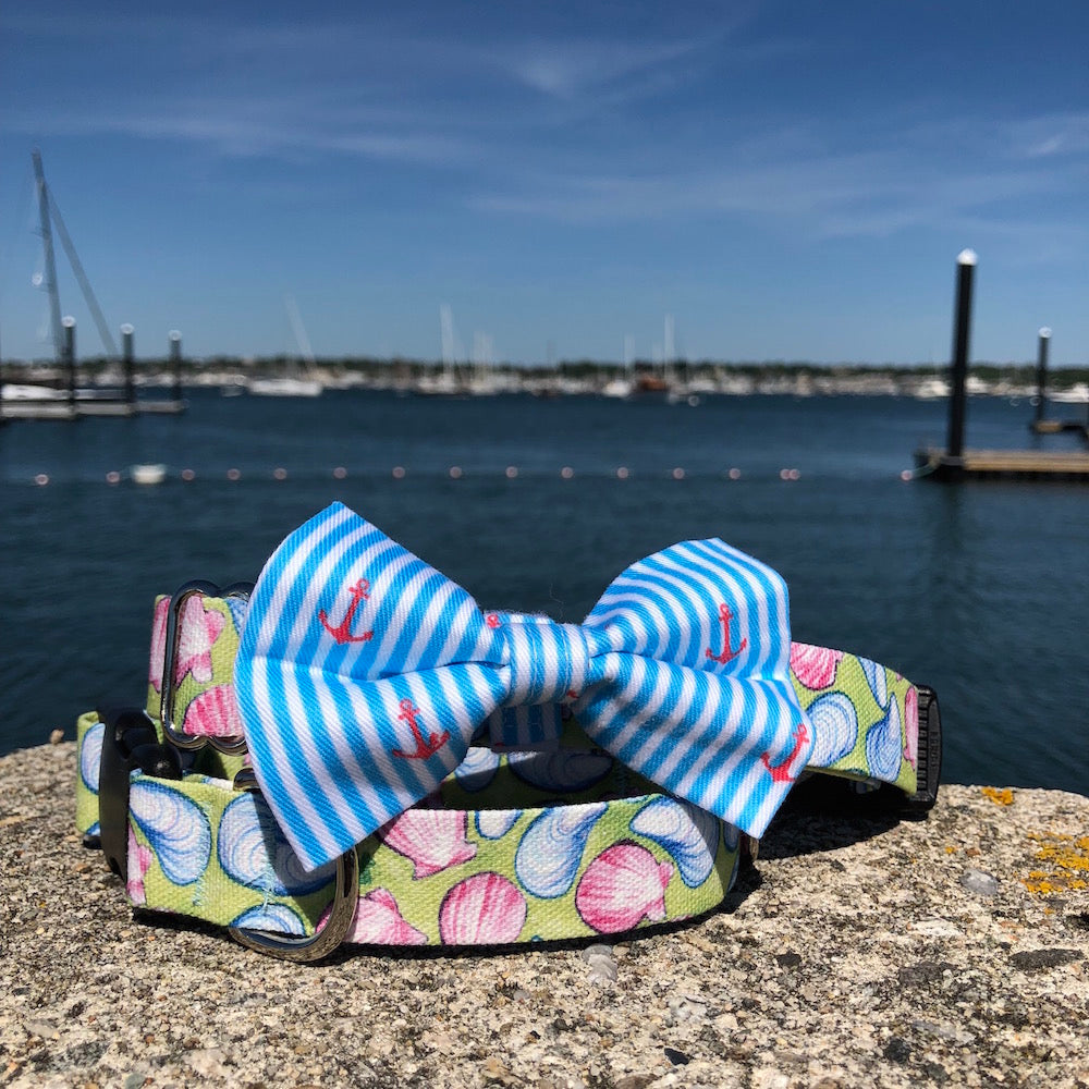 Our Good Dog Spot Caribbean Blue Oxford Stripe Anchor Bowtie and Muscles and Clams dog collar