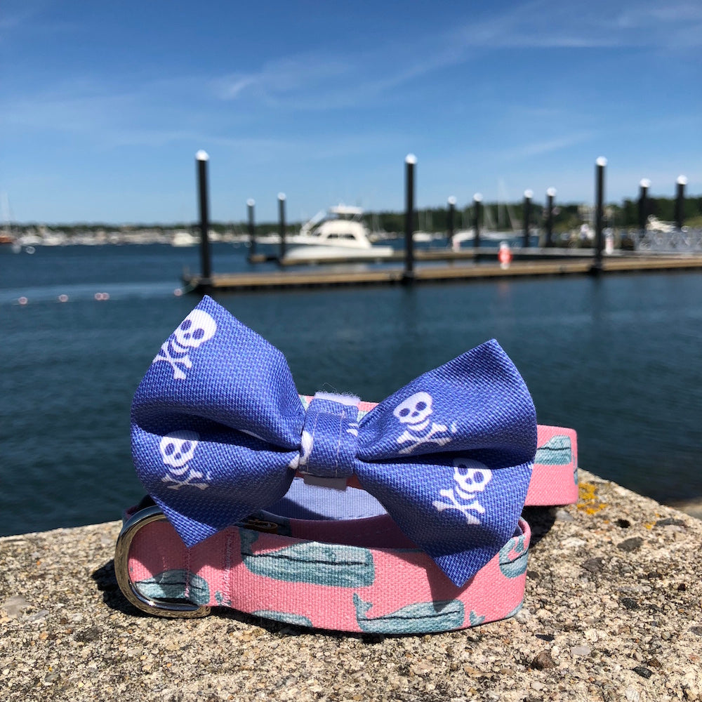 Our Good Dog Spot Pink Nantucket Whale 23 Dog Collar and Charles River Bow Tie Skull Blue