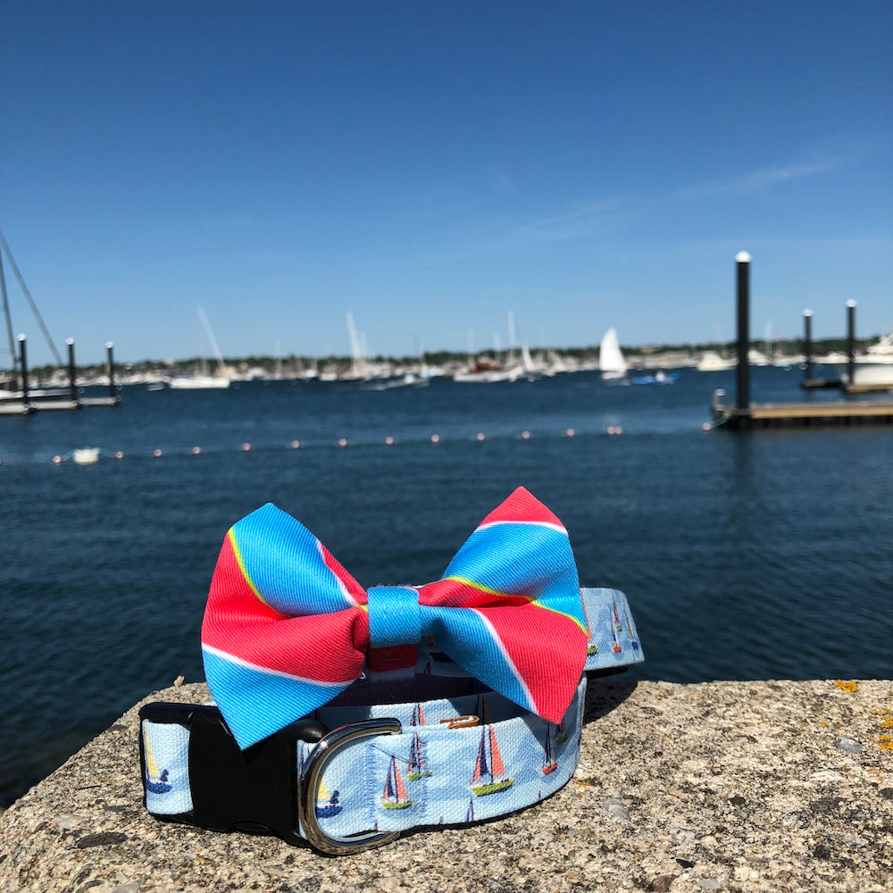 Our Good Dog Spot Sailboat Dog Collar and Ivy League Repp Stripe Bow Tie Red and Blue