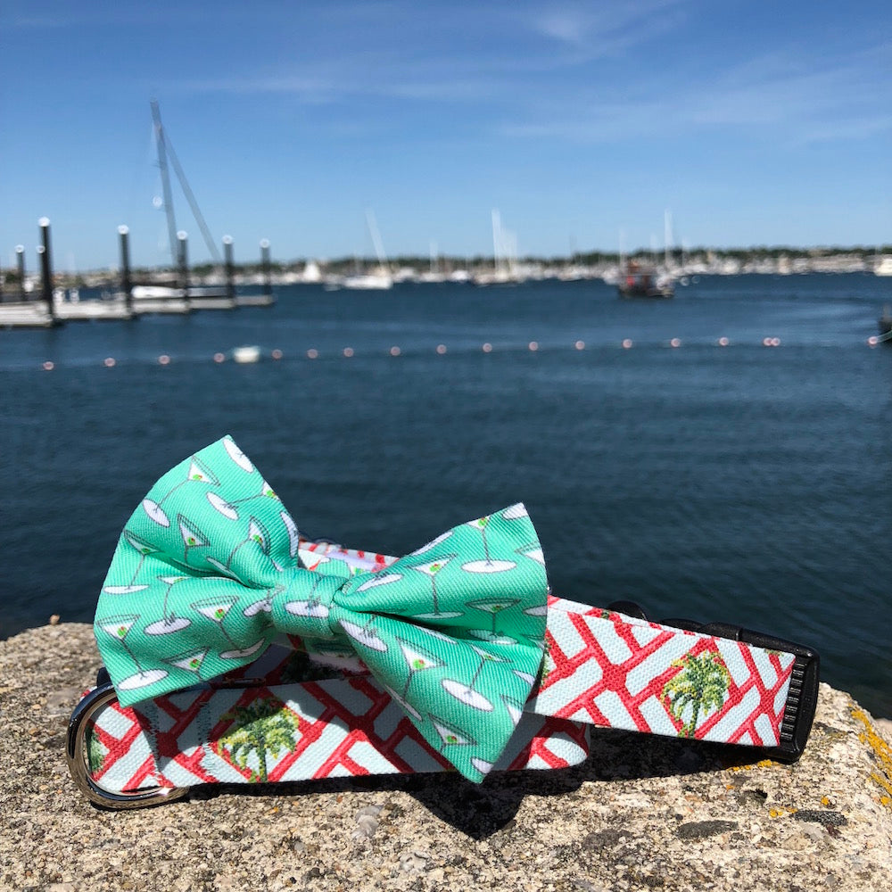 Our Good Dog Spot Mint Green Martini Bowtie and Florida Palm Trees dog collar