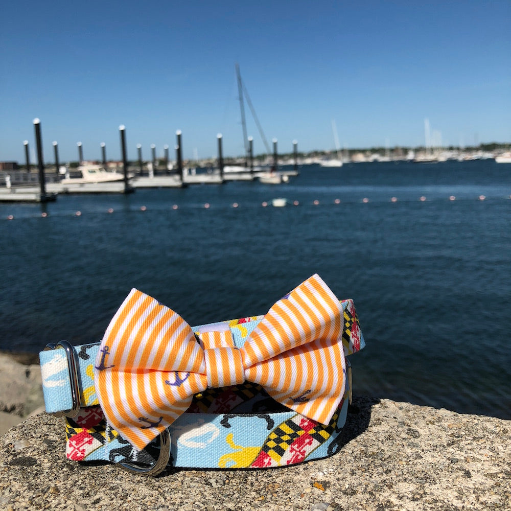 Our Good Dog Spot Sunset Gold Oxford Stripe Anchor Bowtie and Maryland Flag and Crab dog collar