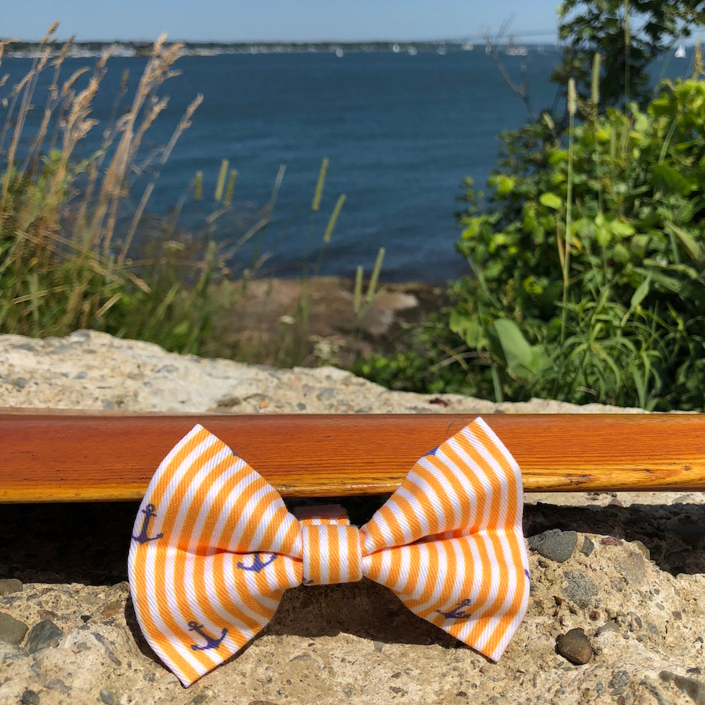 Our Good Dog Spot Sunset Gold Oxford Stripe Anchor Bowtie