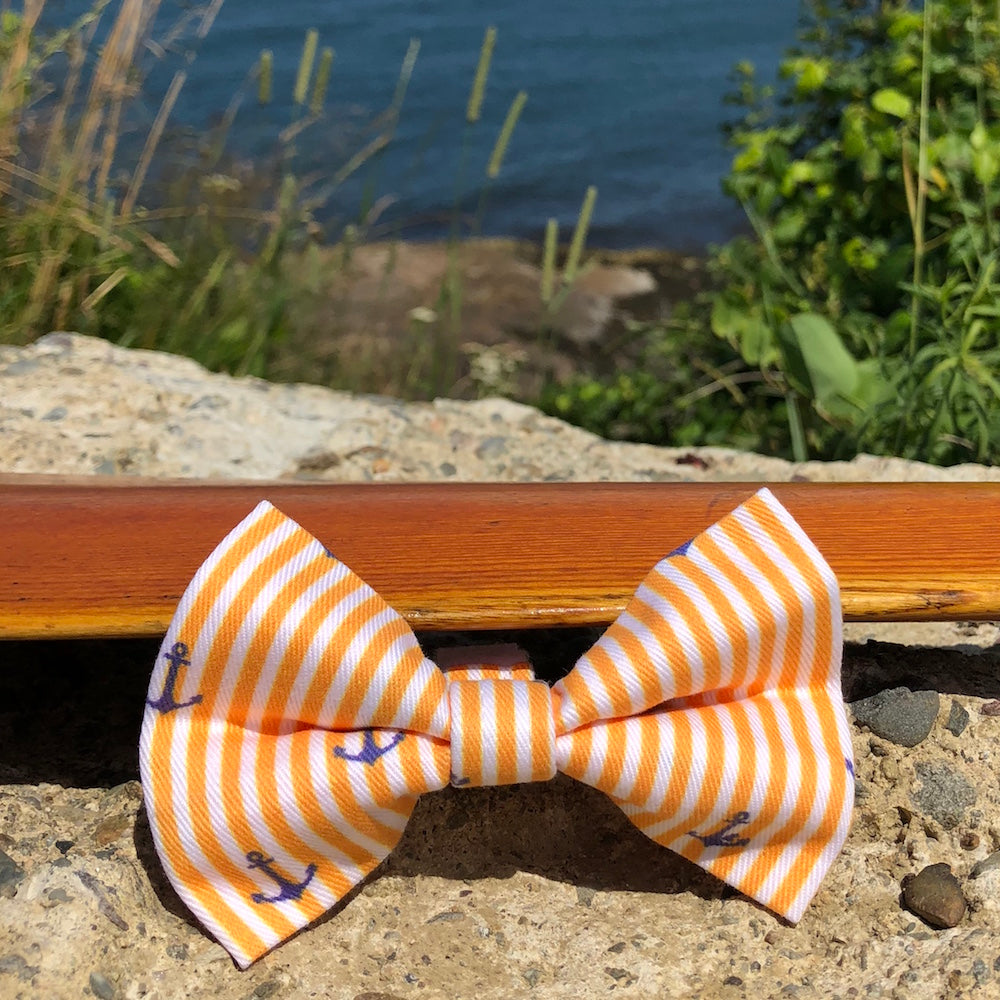 https://ourgooddogspot.com/cdn/shop/products/Oxford_Stripe_Anchor_Golden_Yellow_Cropped_1000_IMG_0897.jpg?v=1534420628&width=1200