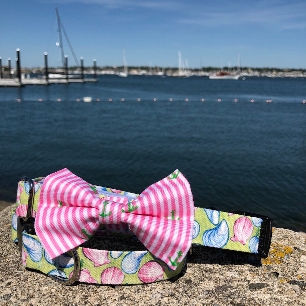 Our Good Dog Spot Preppy Pink Oxford Stripe Anchor Bowtie and Muscles and Clams dog collar