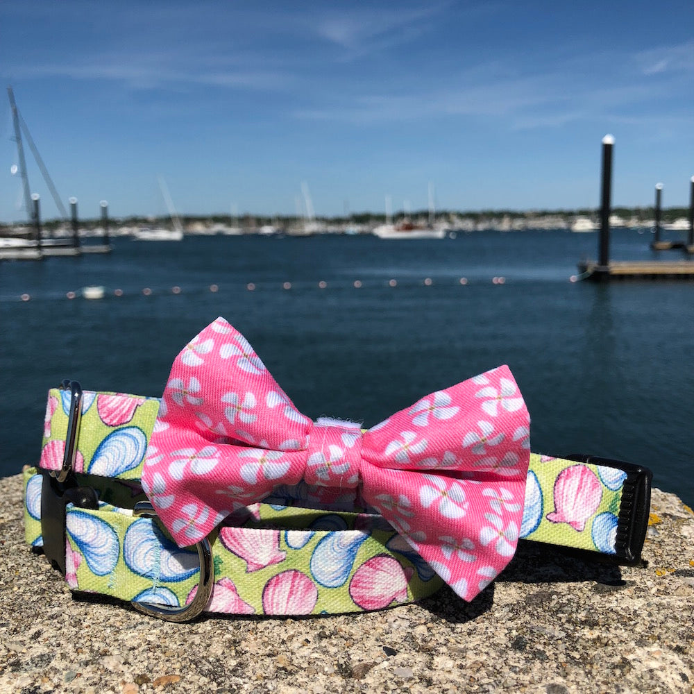 Our Good Dog Spot Pink Propeller Bowtie and Muscles and Clams dog collar