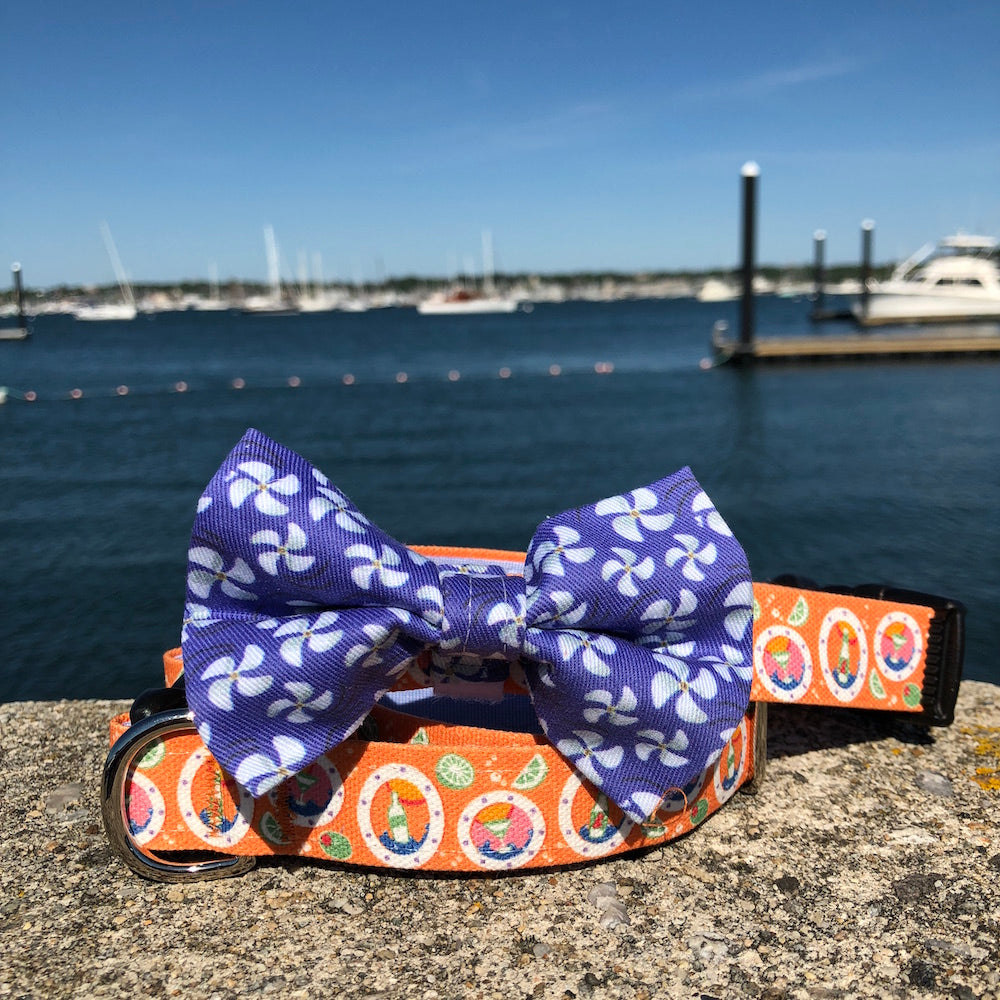 Our Good Dog Spot After 5 Cocktail Dog Collar and Purple Opulence Propeller Bow Tie