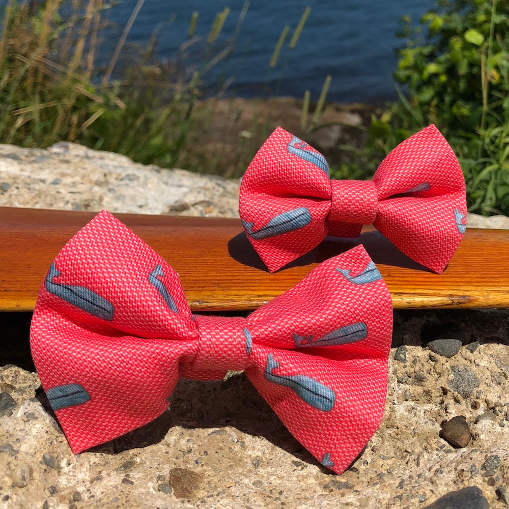 Our Good Dog Spot Nantucket Whale 23 Red Bow Tie