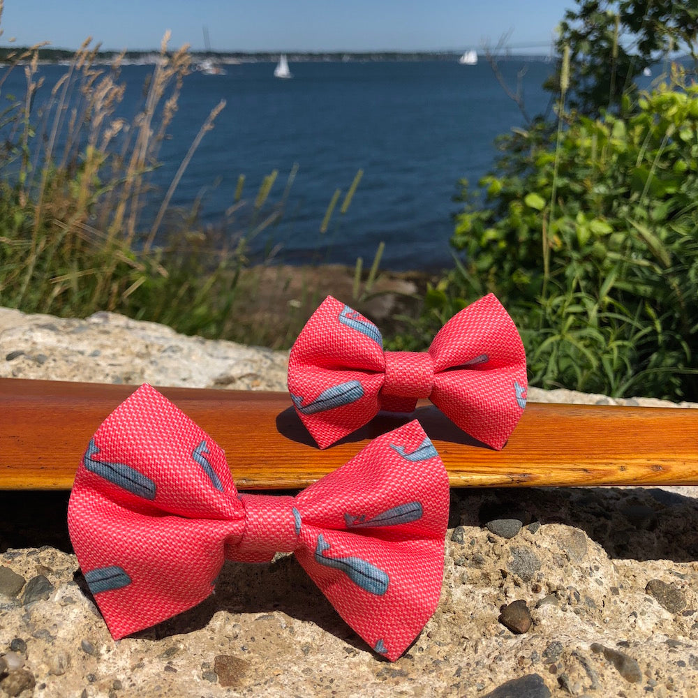 Our Good Dog Spot Nantucket Whale 23 Red Bow Tie