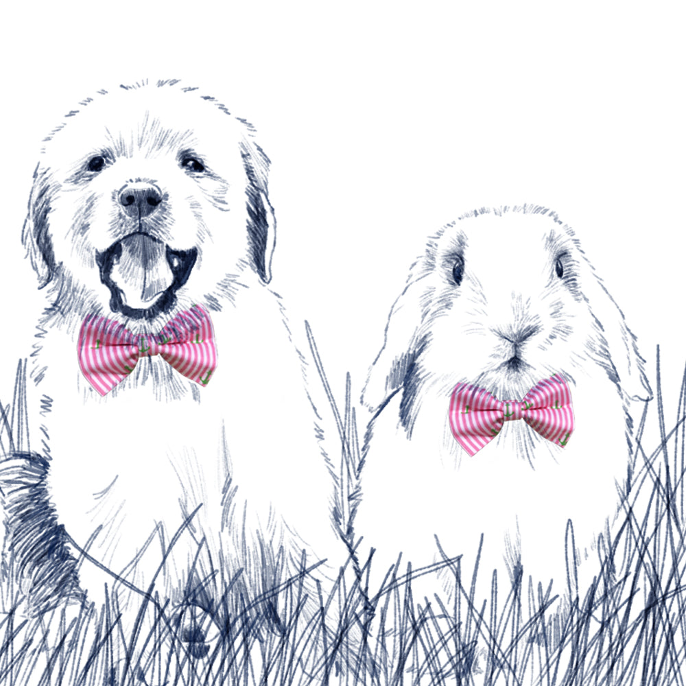 Easter Oxford Stripe Bow Tie - Cottontail Pink